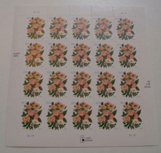 Us Stamp Scott 3837 - Full Sheet Of 20 - Pink Roses - 60c - Nh