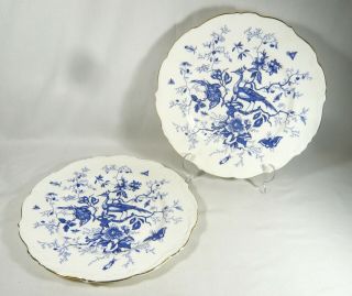 2 Coalport Cairo 10 3/4 " Dinner Plates Blue & White Birds Insects Aesthetic