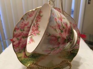 Vintage Tea Cup And Saucer Royal Albert Blossom Time (rare) 1970s