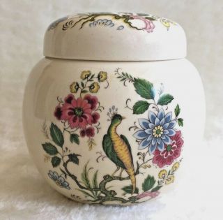 Vintage Sadler England Ginger Jar,  Bird Of Paradise/peacock Design