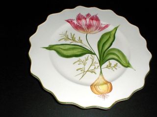 Italian Pottery San Marco Nove Pink Tulip & Bulb 10 " Display Plate_italy (24a)