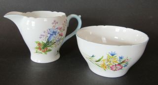 Vintage Shelley Large Cream And Sugar Bowl " Wild Flowers "