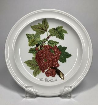 Portmeirion " Pomona " 7 3/8 " Red Currant Bread & Butter Plate