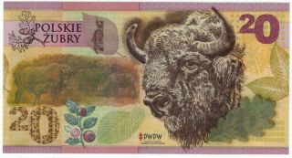- - - - Test Note / Test Banknote Pwpw " 20 Bison " / Hybrid Substrate Louisenthal - -