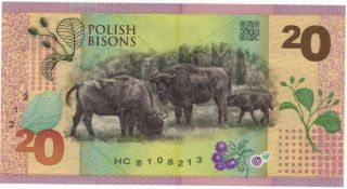 - - - - Test Note / Test Banknote PWPW 