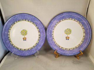 Set Of 2 Royal Doulton Carmina Melamine Dinner Plates