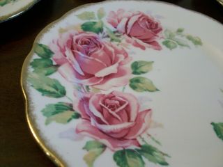 6 Vintage Queen Anne Bread Dessert Side Plates Dishes Bone China England Roses