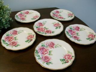 6 Vintage Queen Anne Bread Dessert Side Plates Dishes Bone China England ROSES 2