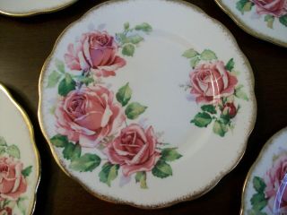 6 Vintage Queen Anne Bread Dessert Side Plates Dishes Bone China England ROSES 3