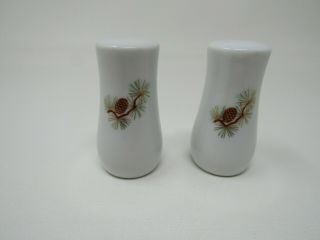 Set Of 2 Fukagawa Arita Pine Cone Brown Green Gold Salt Pepper Shakers