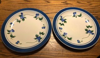 Ll Bean Blueberry 11 " Dinner Plates Set Of 2 Oven To Table