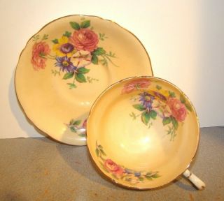 Paragon China Cup & Saucer Rose Bouquet On Peach