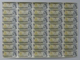 1973 Canada 1 Dollar Bank Note Uncut Sheet X 40 & Tube