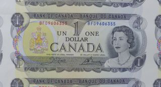 1973 CANADA 1 DOLLAR BANK NOTE UNCUT SHEET X 40 & TUBE 2