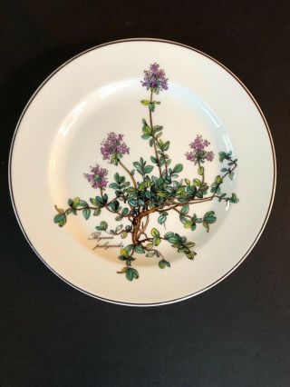 Villeroy & Boch " Botanica " Thymus Pulegioides No Root,  Salad/dessert Plate 8 - 1/4