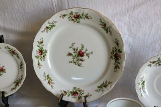 Johann Haviland Moss Rose Traditions Fine China 10 " Dinner Plates (2)