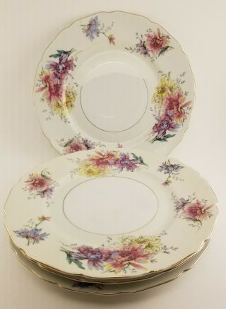 Set Of 4 10 " Dinner Plates Conchita By Black Knight China Made In Germany