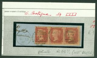 Sg 40 1d Rose - Red Strip Of 3.  Fine/very Fine On Small Piece,  In.