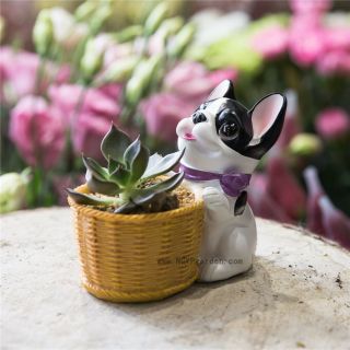 Black And White Dog Cactus Succulent Pot Planter Bonsai Home Garden Pot Decor