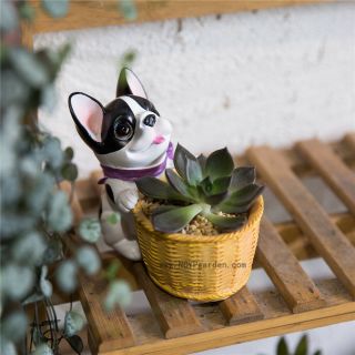 Black and White Dog Cactus Succulent Pot Planter Bonsai Home Garden Pot Decor 3