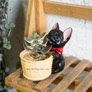 Decorative French Dog Resin Flower Cactus Succulent Pot Home Garden Pot Decor