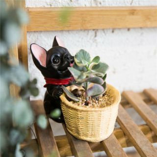 Decorative French Dog Resin Flower Cactus Succulent Pot Home Garden Pot Decor 2
