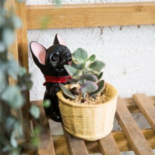 Decorative French Dog Resin Flower Cactus Succulent Pot Home Garden Pot Decor 3