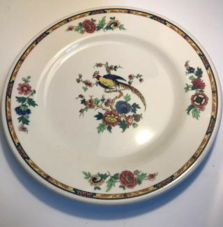 Syracuse Dewitt Clinton Dinner Plate Pilgrim Bird Of Paradise 10 1/4”