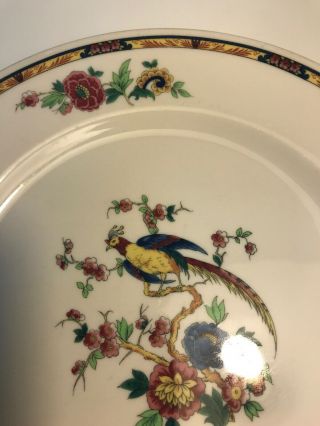 Syracuse Dewitt Clinton Dinner Plate Pilgrim Bird Of Paradise 10 1/4” 3