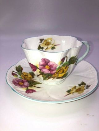 Vintage Shelley England Bone China Dainty Shape Begonia Pattern Cup And Saucer