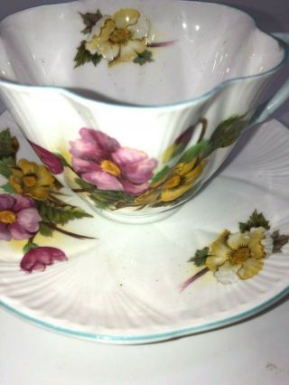 Vintage Shelley England Bone China Dainty Shape Begonia Pattern Cup and Saucer 2