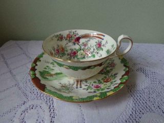 Vintage Aynsley Bone China Bird Of Paradise Rose Floral Flat Cup & Saucer