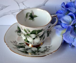 Royal Adderley English Bone China Tea Cup Saucer Set Trillium Canadian Flowers 4