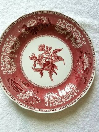 Spode Pink Camilla 10 1/4 " Porcelain Dinner Plate Made In England