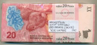 Argentina Bundle 100 Design Notes 20 Pesos (2017) P 361 Unc