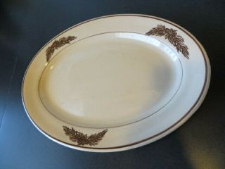 Vintage Tepco Pine Cone & Branches Restaurant Ware Platter Dish 12 "