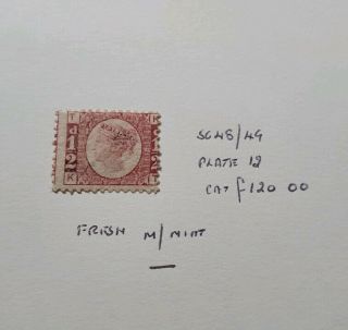 Gb Stamps Queen Victoria Sg 48 1/2d Rose Red Pl 12 M/mint