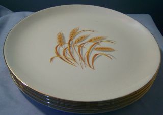 4 Homer Laughlin Golden Wheat Dinner Plates 9 1/4 "