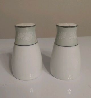 Noritake China Salt And Pepper Shakers Floral/green