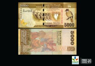 Sri Lanka CEYLON 5000 RUPEES Beauty Bank Note - UNC - RS.  5000 3