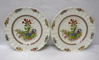 Spode China Rosalie Pattern Salad Plate - Set Of Two (2) - 7 - 7/8 "
