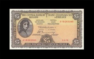 1975 Central Bank Of Ireland 5 Pounds Rare ( (aunc))