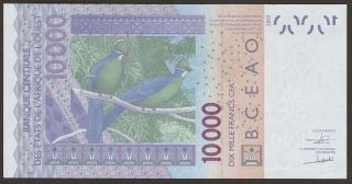 AU - UNC 2017 West African States 10000 Francs GUINEA - BISSAU P - 918Sq / B124Sq 619 2