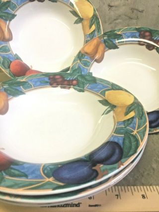5 Casual Victoria & Beale Forbidden Fruits 8 1/2 Bowls Dishwasher Microwave