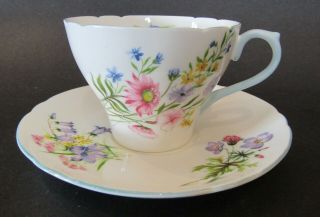Vintage Shelley Teacup And Saucers " Wild Flowers "