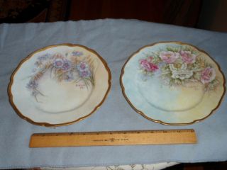 2 Antique Hand Painted Limoges Plates - Charles Field Haviland - France