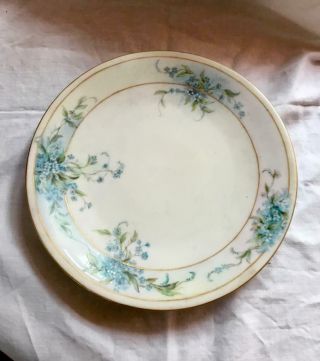 Antique Hand - Painted Porcelain Plate Blue Flowers 