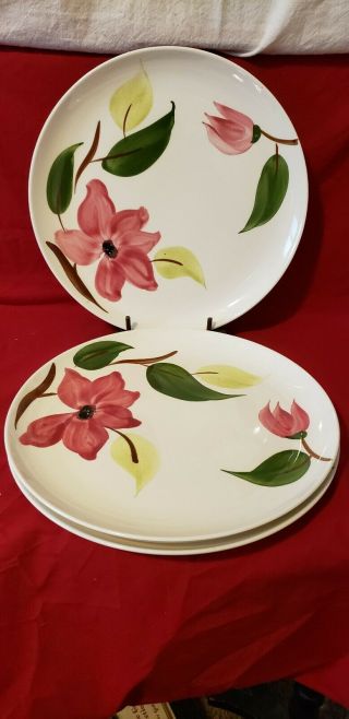3 Rio 10 1/4 " Dinner Plates Red Flowers Stetson China Mid Century Pottery