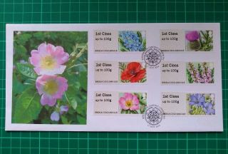 2014 Post & Go Symbolic Flowers Pack Stamps Fdc Kennsington Gardens Pmk