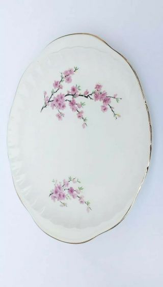 Ceramicvintage 1948 - W.  S.  George Peach Blossom (bolero) 12” Handled Cake Plate.